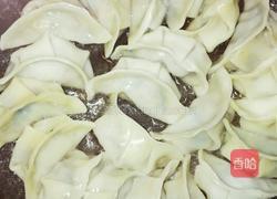 煎饺的做法图解5