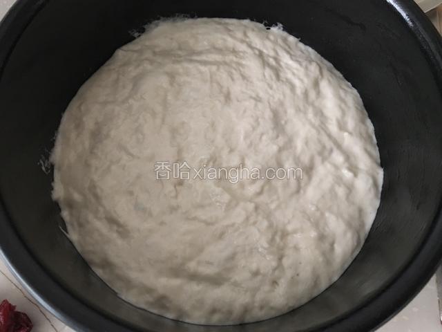 倒入一半发酵好的面糊，搅拌一下，把里面的气泡尽量赶出去，上面撒一些蔓越莓干（图片忘拍了）；