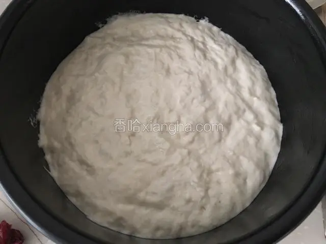 倒入一半发酵好的面糊，搅拌一下，把里面的气泡尽量赶出去，上面撒一些蔓越莓干（图片忘拍了）；