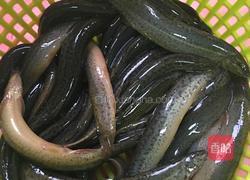 干煸泥鳅的做法图解1
