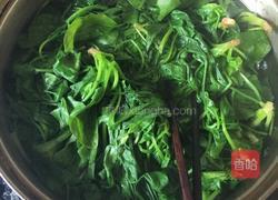 清炒菠菜的做法图解2