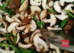 素炒香菇的做法图解5