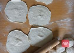 白菜肉馅蒸饺子的做法图解4