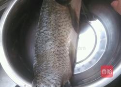 香辣煎烤鱼的做法图解1