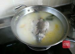 炖鱼汤的做法图解10