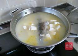 炖鱼汤的做法图解11