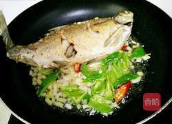 红烧武昌鱼的做法图解6