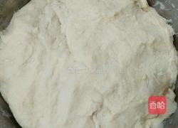 槐花菜饼子的做法图解3