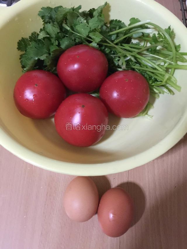 西红柿、香菜洗净控水，取鸡蛋二个备用。