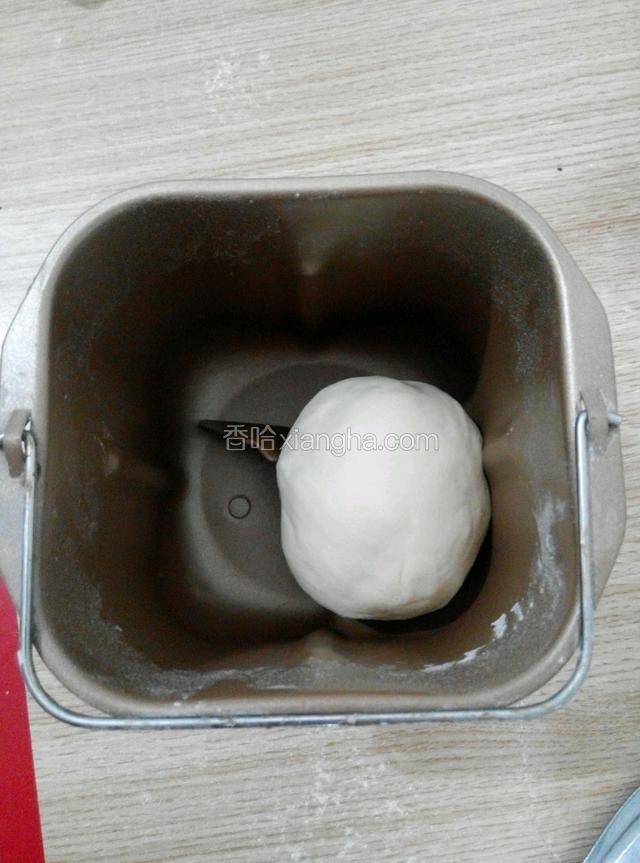 面包机桶放入牛奶和酵母静制五分钟之后放入面粉和白糖和成光滑的面团，开启面包机发面程序，开始醒发