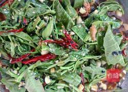 凉拌香椿的做法图解7