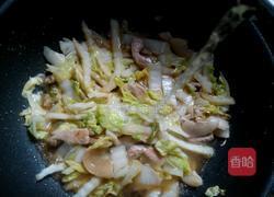 猪肉白菜炖粉条的做法图解8
