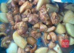 鸡肉炖土豆的做法图解7