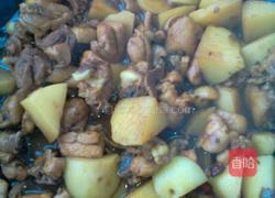 鸡肉炖土豆的做法图解9