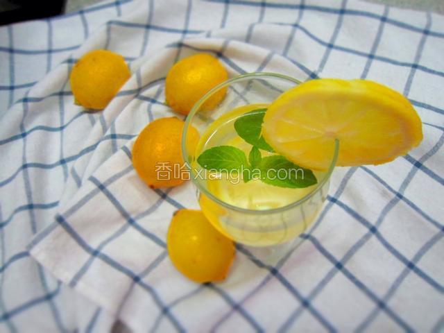 柠檬薄荷水