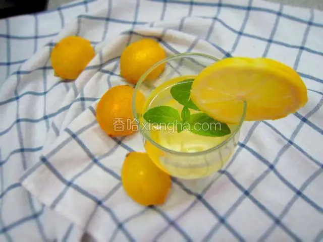 柠檬薄荷水