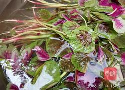 蒜炒紫苋菜的做法图解2