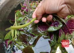 蒜炒紫苋菜的做法图解3