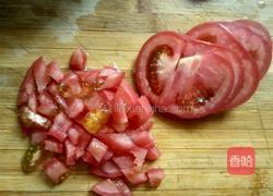 西红柿鸡蛋饺子的做法图解8