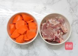 胡萝卜炖排骨的做法图解2