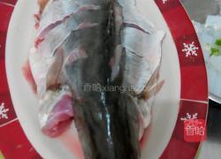 清蒸季花鱼的做法图解1