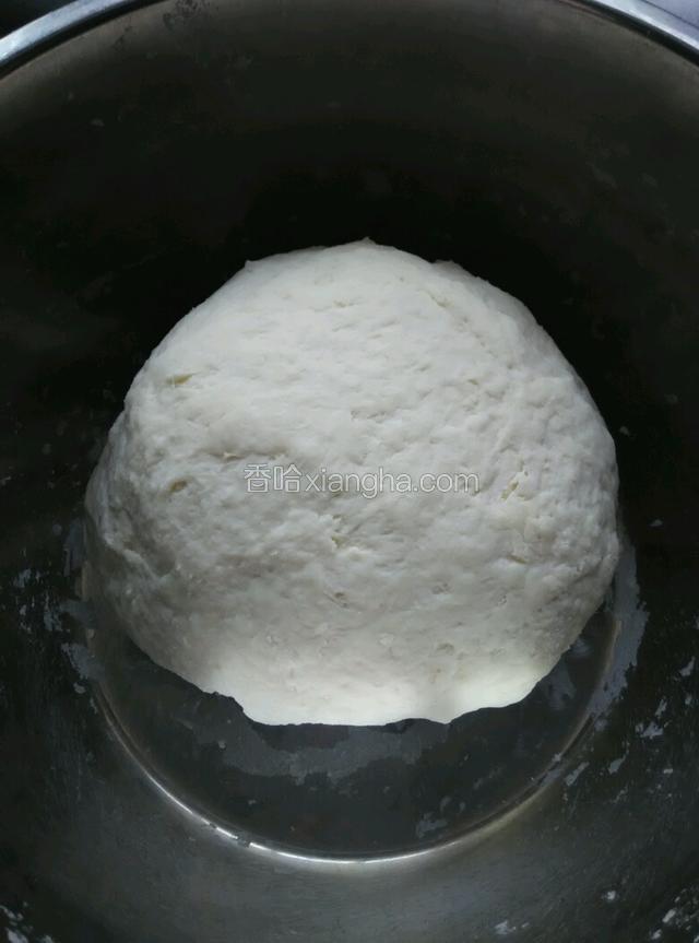 一斤面粉加半斤水，和成面团
