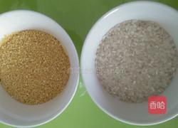 海参灵芝香菇养生粥的做法图解6