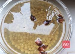 五香煮黄豆的做法图解3