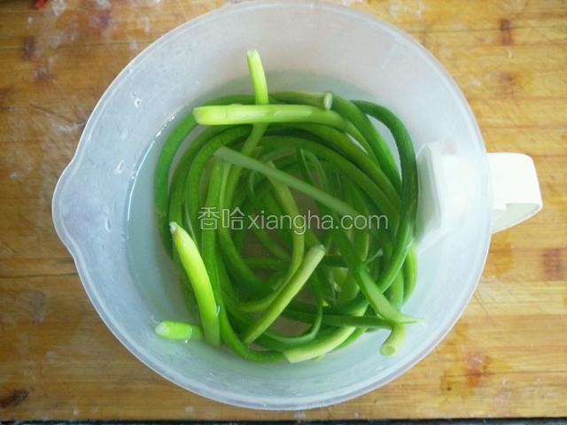 绰好的蒜苔捞出泡入凉水中