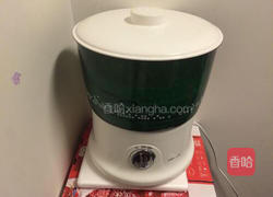 发绿豆芽的做法图解3