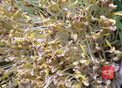 发绿豆芽的做法图解6