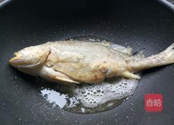 红烧大黄花鱼的做法图解8