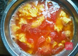 西红柿鸡蛋面的做法图解11