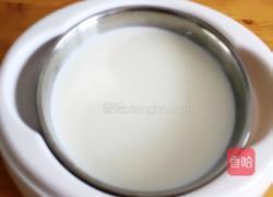 自制老酸奶的做法图解4