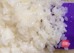 醪糟的做法图解7