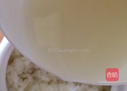 醪糟的做法图解8