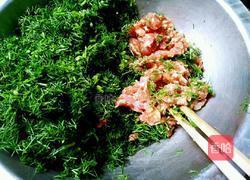 茴香饺子的做法图解2