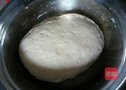 茴香饺子的做法图解3