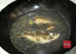 养生鲫鱼汤的做法图解2
