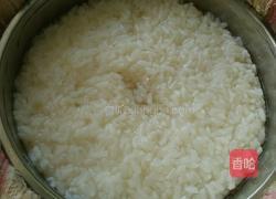 醪糟的做法图解15