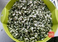 槐花包子的做法图解4