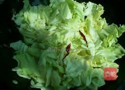 猪油手撕圆白菜的做法图解5