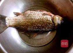 家常香辣烤鱼的做法图解1