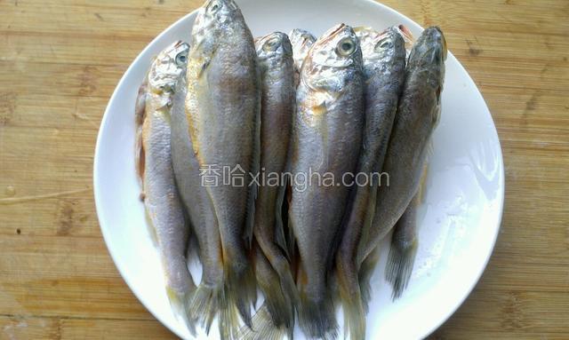 黄花鱼去内脏，去鱼腮 鱼鳞清洗干净