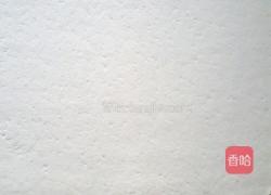 葱油椒盐花卷的做法图解10