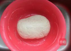 圆葱猪肉馅水饺的做法图解1