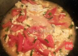 西红柿鸡蛋卤的做法图解6