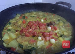 印度彩蔬咖喱鸡的做法图解7