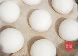 老面馒头的做法图解6