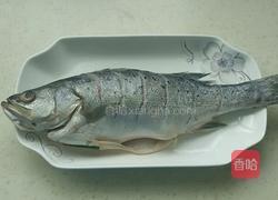 清蒸海鱼的做法图解2